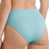 Birdsong Women's Arctic Ruched High-Waist Bikini Bottom - S20154-ARCTI