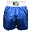 Cleto Reyes Women's Satin Polyester Boxing Skirt Trunks - Blue/White